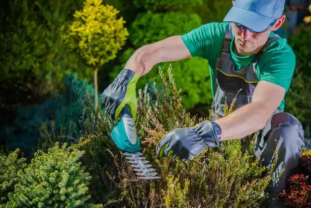 landscaping services Green Island